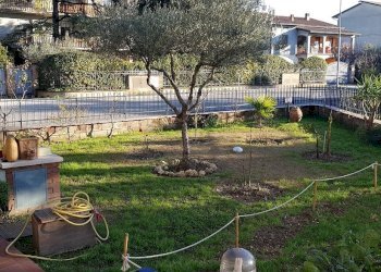 giardino - Villa Via Entrata 5, Torgiano - foto 2