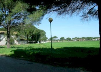 Terratetto - Terracielo Via Silvio Pellico 12/A, Castagneto Carducci - foto 13