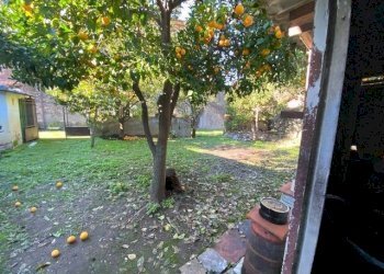 Rustico borgo dei terrinchesi, Seravezza - foto 3