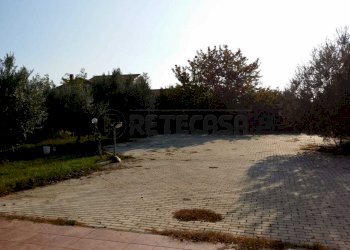 IMG-20201212-WA0005.jpg - Ristorante Cervaro - foto 4