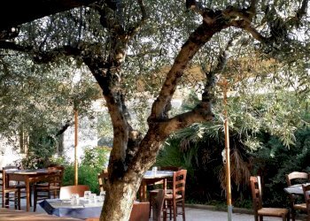 IMG-20201212-WA0025 - Copia.jpg - Ristorante Cervaro - foto 25