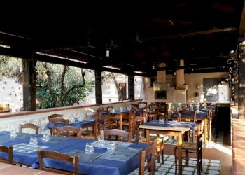 IMG-20201212-WA0027.jpg - Ristorante Cervaro - foto 29