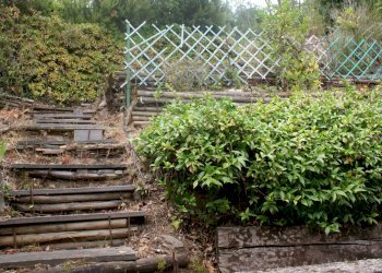 am2.jpg - Porzione di casa Ameglia - foto 3