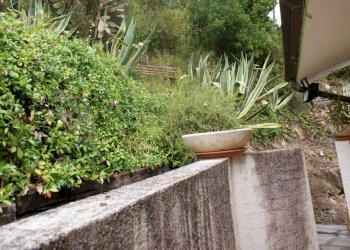 am3.jpg - Porzione di casa Ameglia - foto 4