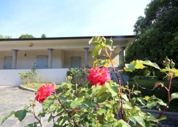 villa in vendita a lucca (6).JPG - Villa via pradalino, Camaiore - foto 7