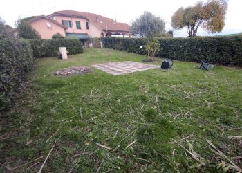 am4.jpg - Terratetto - Terracielo Ameglia - foto 4