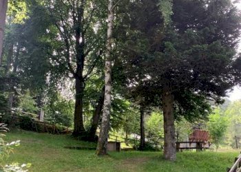 GIARDINO - Trilocale via Cave, Bagnolo Piemonte - foto 20