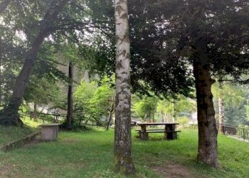 GIARDINO - Trilocale via Cave, Bagnolo Piemonte - foto 26