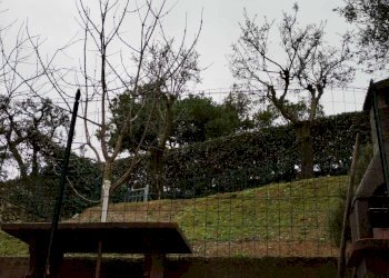 IMG-20210124-WA0011.jpg - Trilocale Ameglia - foto 6