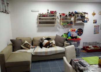 IMG_20210124_211106_resized_20210124_091441167.jpg - Trilocale Ameglia - foto 8