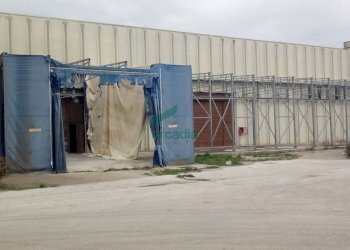 dettagli - Commercial Premises SP231 km 2, Bitonto - photo 4