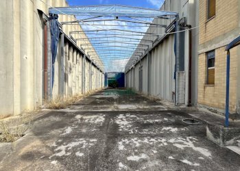 dettagli - Commercial Premises SP231 km 2, Bitonto - photo 14
