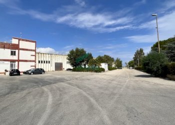 dettagli - Commercial Premises SP231 km 2, Bitonto - photo 18
