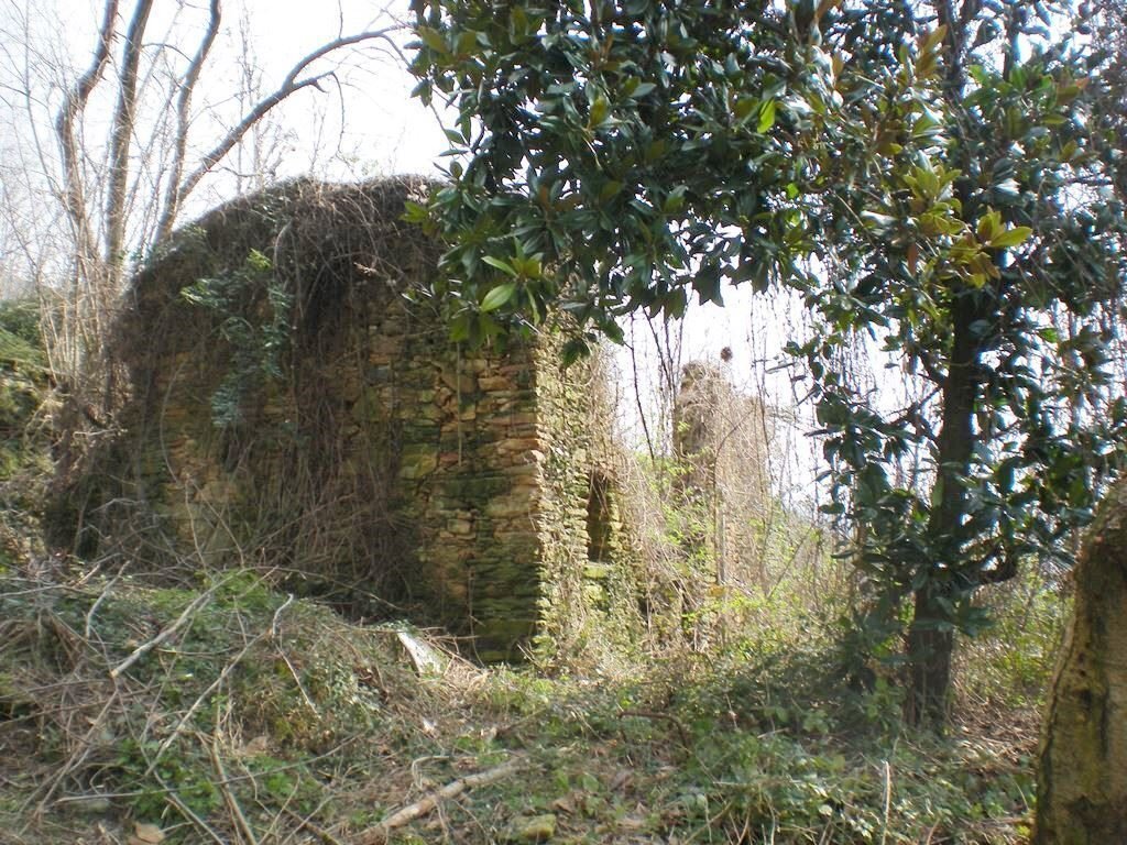 COLLEPIANO6.JPG - Rustic Pietrasanta - photo 1