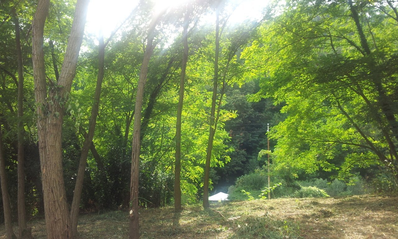 20140903_164020.jpg - Rustic Pietrasanta - photo 2