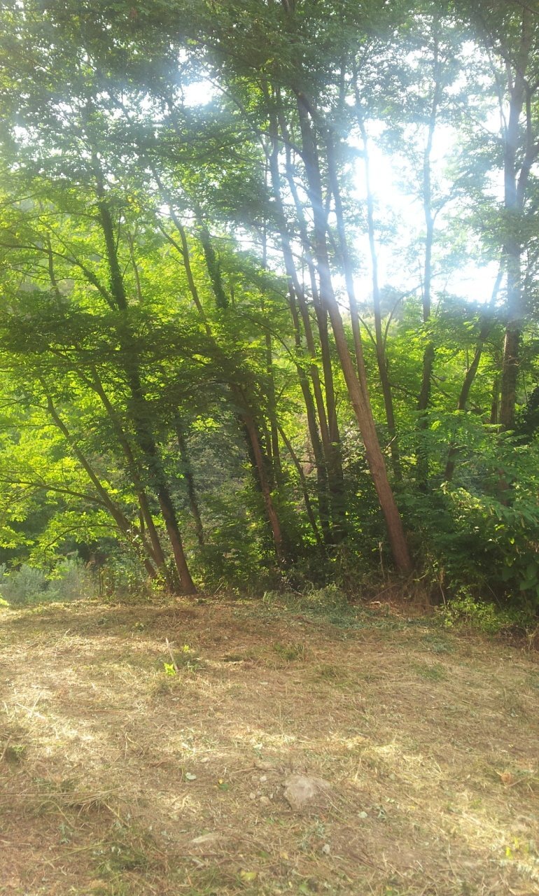 20140903_164024.jpg - Rustic Pietrasanta - photo 3