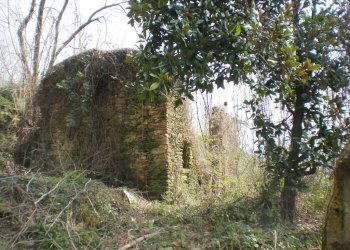 COLLEPIANO6.JPG - Rustico Pietrasanta - foto 1