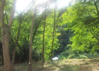 20140903_164020.jpg - Rustico Pietrasanta - foto 2