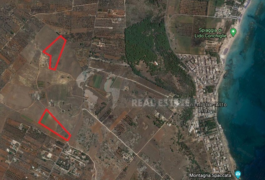 Terrno Sannicola 2.png - Terreno edificabile Strada Provinciale 17 63, Sannicola - foto 1