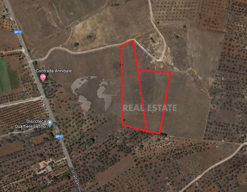 Terrno Sannicola 2.png - Terreno edificabile Strada Provinciale 17 63, Sannicola - foto 3