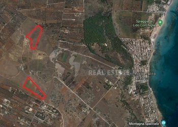 Terrno Sannicola 2.png - Terreno edificabile Strada Provinciale 17 63, Sannicola - foto 1