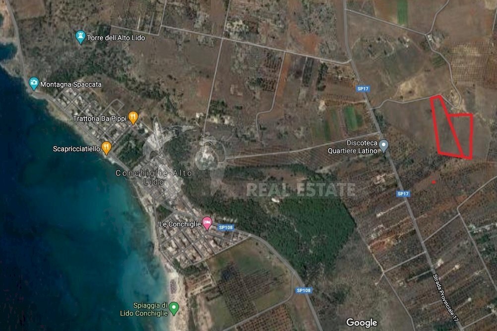 Terrno Sannicola 2bis.jpg - Terreno edificabile Strada Provinciale 17 63, Sannicola - foto 1