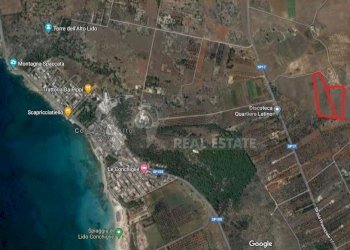 Terrno Sannicola 2bis.jpg - Terreno edificabile Strada Provinciale 17 63, Sannicola - foto 1