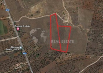 Terrno Sannicola 2.png - Terreno edificabile Strada Provinciale 17 63, Sannicola - foto 3