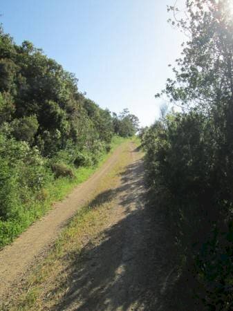 Strada - Terreno agricolo Località Morcone, Capoliveri - foto 2