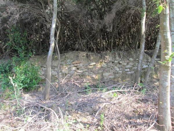 Terreno - Terreno agricolo Località Morcone, Capoliveri - foto 3