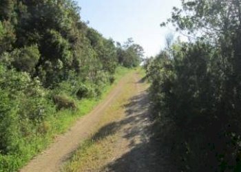 Strada - Terreno agricolo Località Morcone, Capoliveri - foto 2