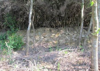 Terreno - Terreno agricolo Località Morcone, Capoliveri - foto 3