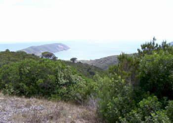 Panorama - Rustico Portoferraio - foto 17