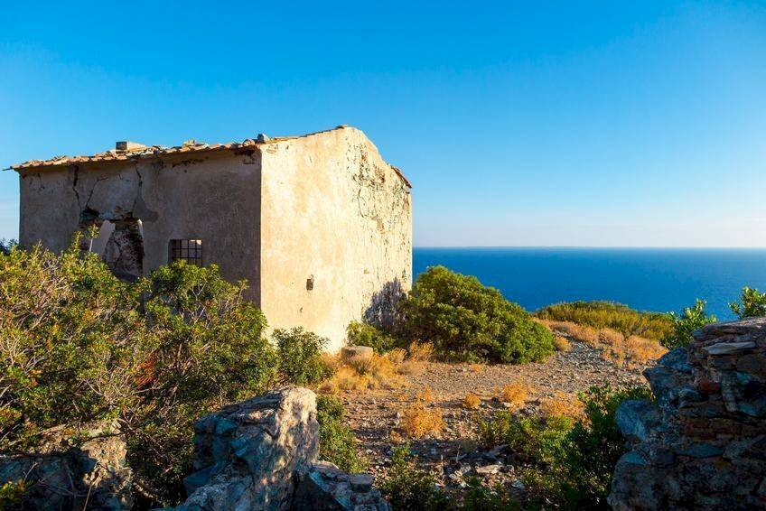 Rudere - Rustic Campo nell'Elba - photo 3