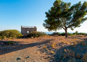 Rudere - Rustic Campo nell'Elba - photo 2