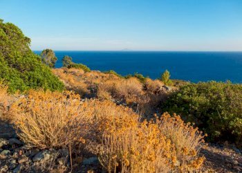 Vista - Rustico Campo nell'Elba - foto 4