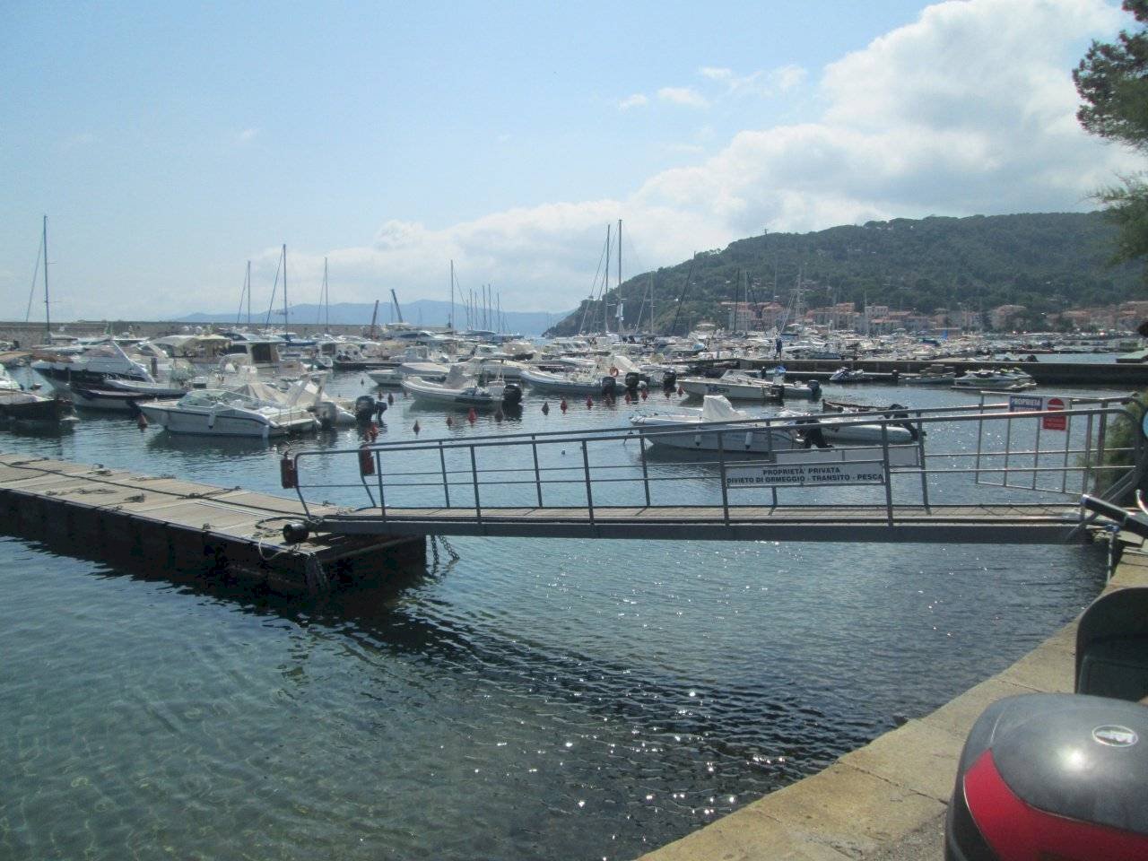 Pasticceria Marciana Marina - foto 3