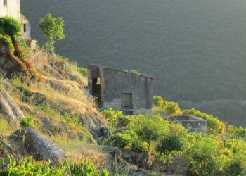 Rustico Colle D'Orano, Marciana - foto 3