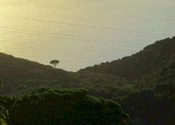 Rustic Colle D'Orano, Marciana - photo 12