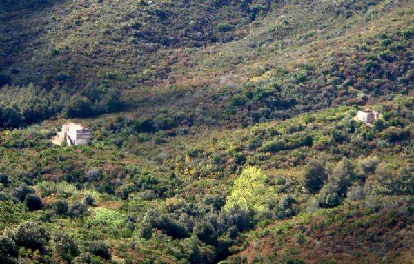 P4240053 r.JPG - Rustic loc. Filetto, Campo nell'Elba - photo 1