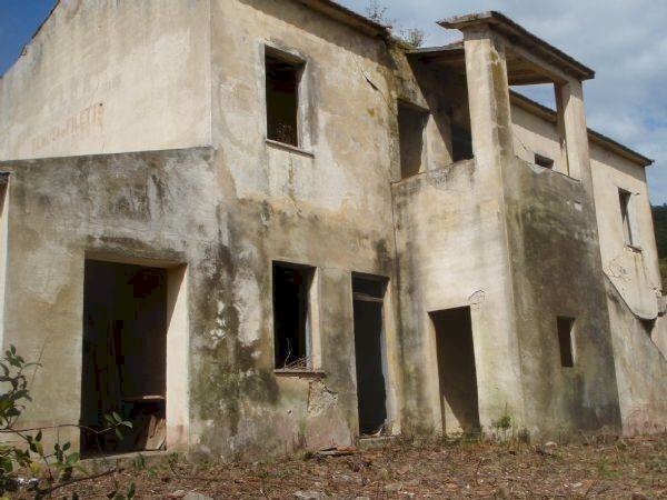 P4240008 r.JPG - Rustic loc. Filetto, Campo nell'Elba - photo 3