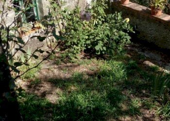 10.jpg - Casa semi indipendente Strada Provinciale 9, Fosdinovo - foto 11