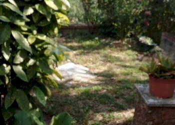 11.jpg - Casa semi indipendente Strada Provinciale 9, Fosdinovo - foto 12