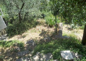 DSCN6549.jpg - Terratetto - Terracielo Luni - foto 15