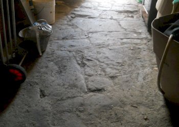 DSCN6550.jpg - Terratetto - Terracielo Luni - foto 16