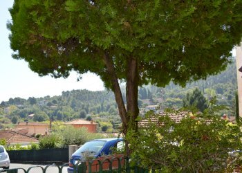 esterno vista_1874.jpg - Independent house Ameglia - photo 10