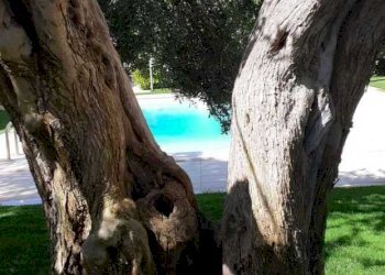 36.jpg - Villa Scicli - foto 18