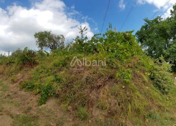 TE153_terreno_vendita_agricolo_uliveto_vigneto_mas - Terreno agricolo Arcola - foto 3