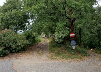 TE153_terreno_vendita_agricolo_uliveto_vigneto_mas - Terreno agricolo Arcola - foto 8