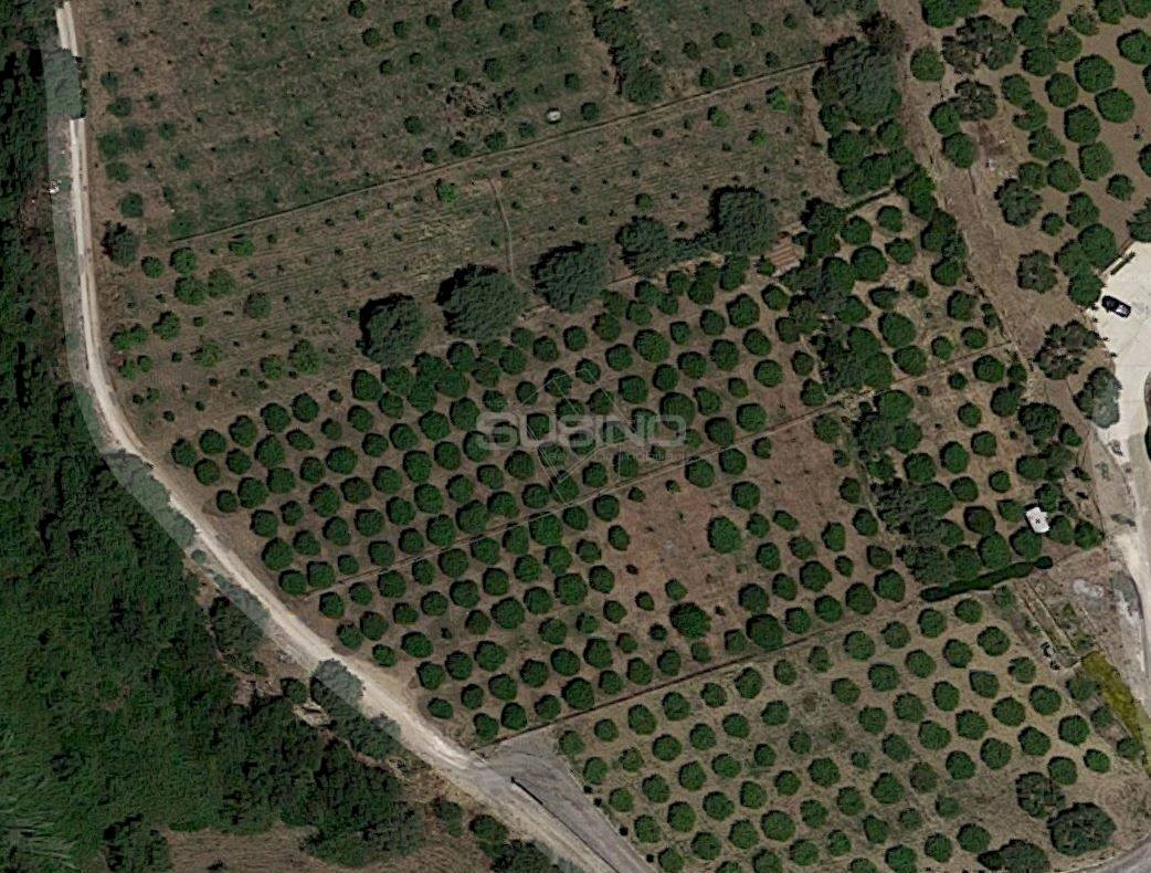 Terreno agricolo STRADA CARANCINO, Siracusa - foto 1